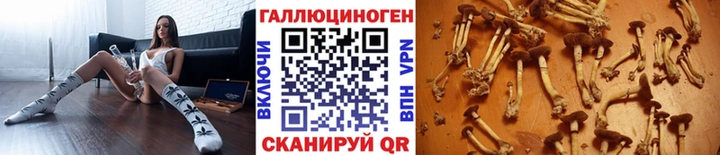 Галлюциногенные грибы Psilocybine cubensis  Белово 